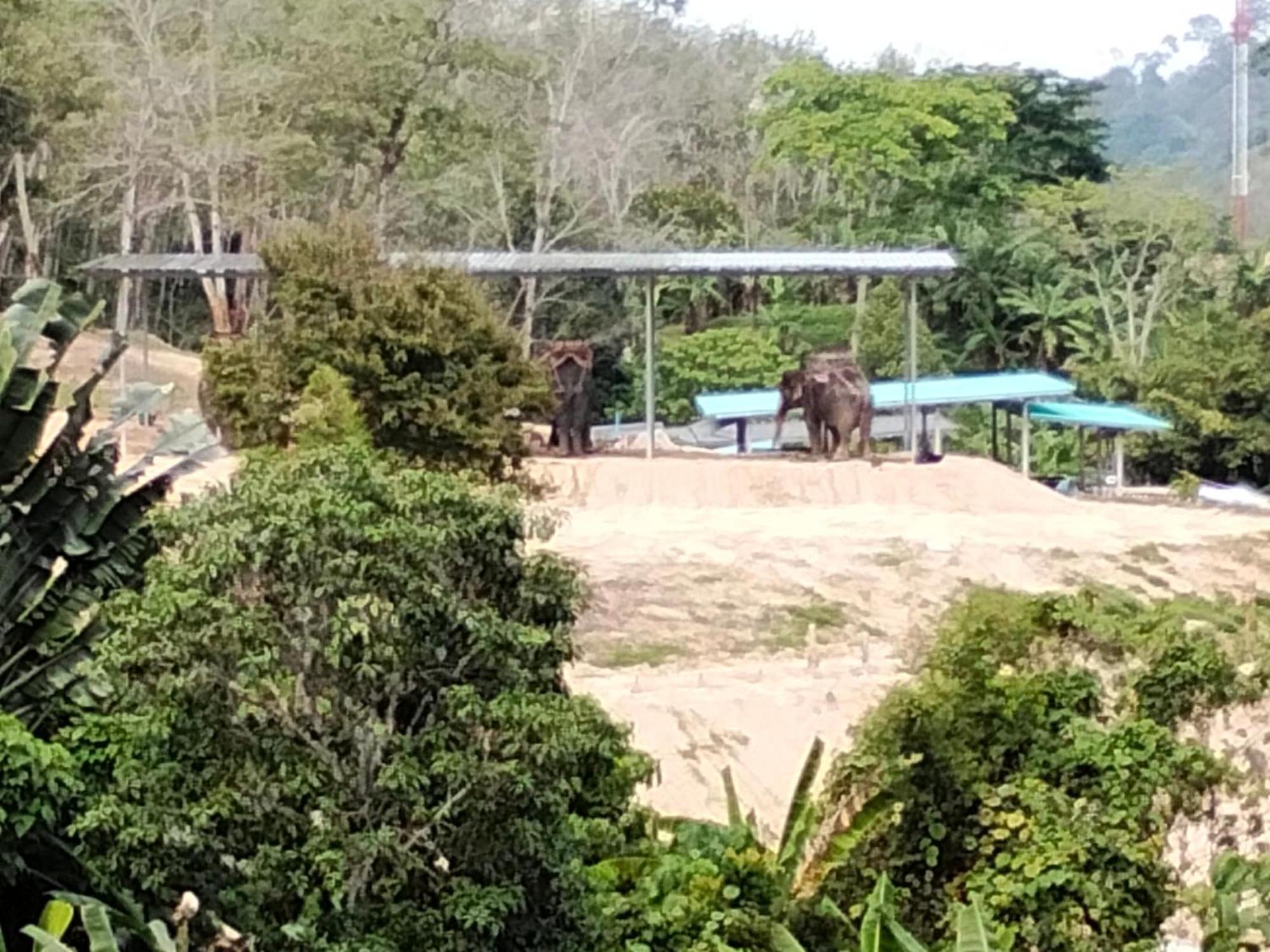 Mountain View Vila *